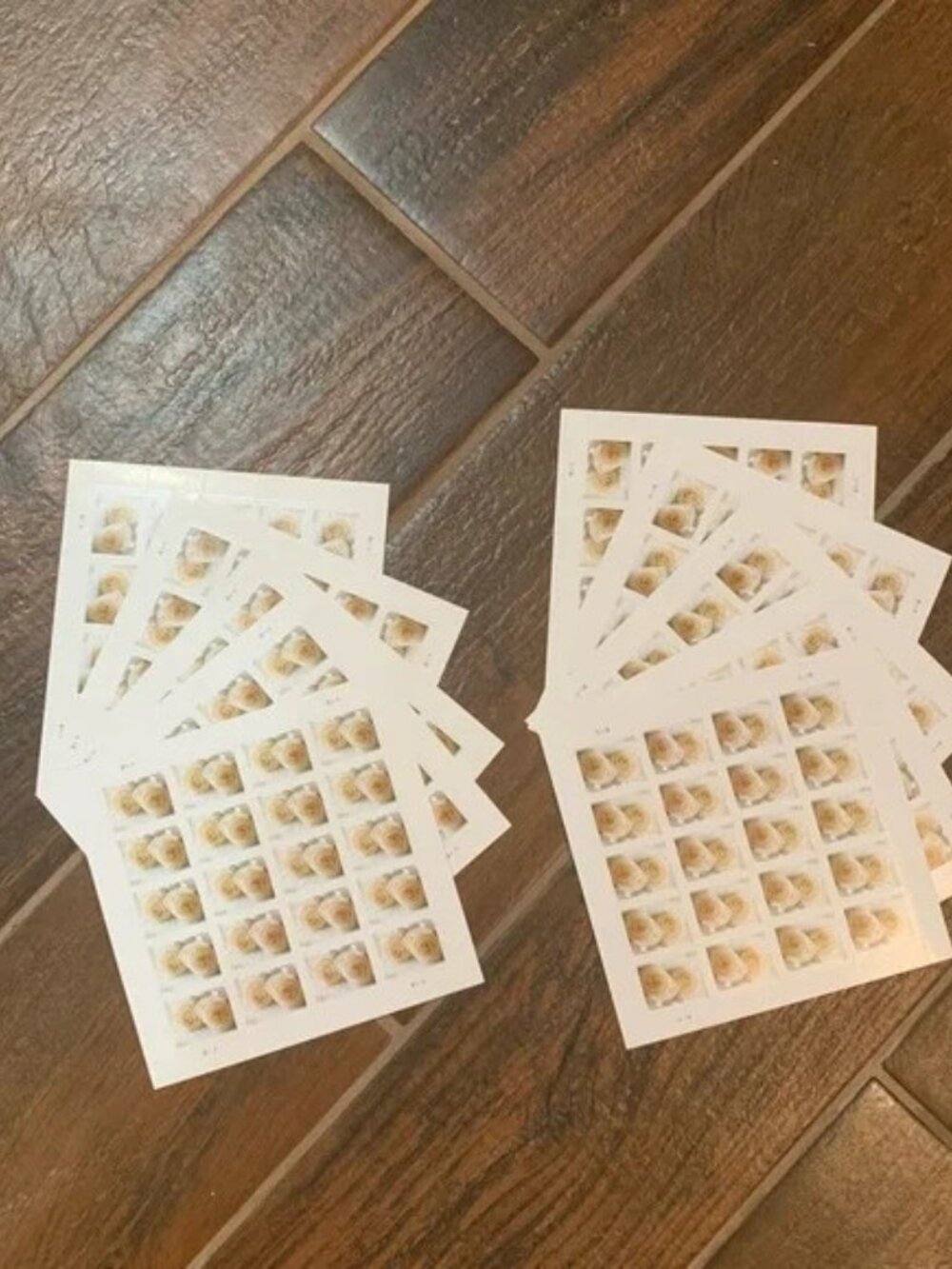 6000 Wedding Roses Forever Stamps